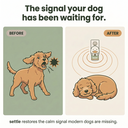 Dog Calming Diffuser Kit