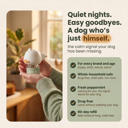 Dog Calming Diffuser Kit